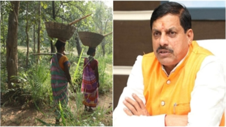 DFO को निर्देश जारी , मोहन सरकार का बड़ा फैसला15 हजार से अधिक आदिवासियों पर दर्ज वन अपराध होंगे वापस.....