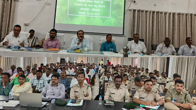 वनमण्डल के 70 प्राथमिक वनोपज सहकारी समितियों में तेंदूपत्ता संग्रहण कार्य प्रारंभ
