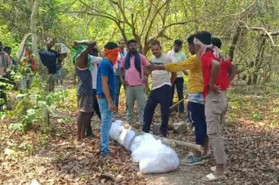 21 दिन बाद आज नीचे उतारी गई एक साथ लटकी प्रेमी युगल की लाश…