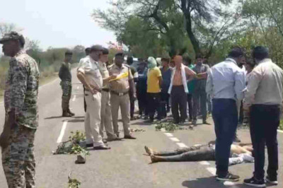 खैरागढ़ मुख्य मार्ग पर पूर्व जिला पंचायत सदस्य के बेटे की मिली लाश, हत्या की आशंका...