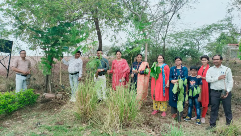विश्व पर्यावरण दिवस पर कृषि महाविद्यालय और अनुसंधान केंद्र ढोलिया में किया गया वृक्षारोपण