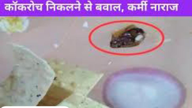बीएसपी की कैंटीन में खाने में निकालाभिलाई कॉकरोच BTI में ट्रेनिंग ले रहे स्टाफ के साथ हुई घटना, कॉकरोच देखकर कई कर्मचारियों को होने लगी उलटी हंगामे के बाद महाप्रबंधक ने दिया कार्यवाही का आश्वासन....