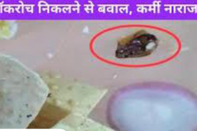 बीएसपी की कैंटीन में खाने में निकालाभिलाई कॉकरोच BTI में ट्रेनिंग ले रहे स्टाफ के साथ हुई घटना, कॉकरोच देखकर कई कर्मचारियों को होने लगी उलटी हंगामे के बाद महाप्रबंधक ने दिया कार्यवाही का आश्वासन....