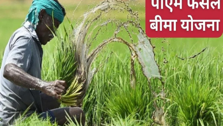 प्रधानमंत्री फसल बीमा योजना:किसान जल्द करें आवेदन, ये है अंतिम तारीख, देखें नहीं तो...