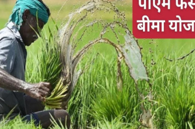 प्रधानमंत्री फसल बीमा योजना:किसान जल्द करें आवेदन, ये है अंतिम तारीख, देखें नहीं तो...