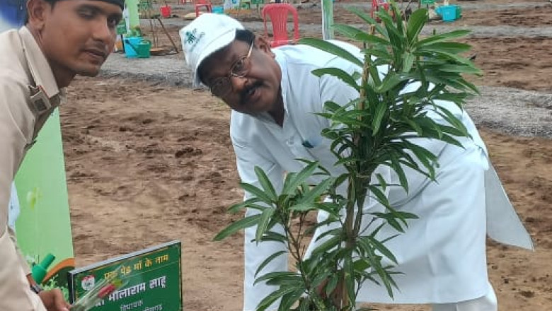विधायक भोलाराम साहू ने किया पौधारोपण