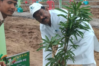 विधायक भोलाराम साहू ने किया पौधारोपण