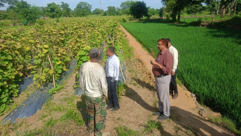 अंजोरा सिंचाई जलाशय को लीज पट्टा पर प्रदान करने के लिए 18 सितम्बर तक आवेदन आमंत्रित...