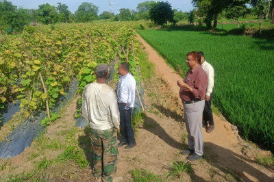 अंजोरा सिंचाई जलाशय को लीज पट्टा पर प्रदान करने के लिए 18 सितम्बर तक आवेदन आमंत्रित...