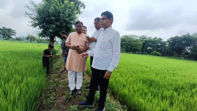 राजस्व मंत्री बने सर्वेयर, पगडंडियों से चलकर पहुंचे बीच खेत में...
