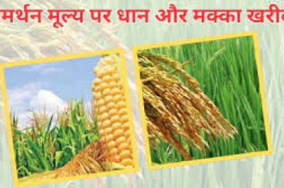 समर्थन मूल्य पर धान एवं मक्का की खरीदी के लिए किसानों का पंजीयन 31 अक्टूबर तक...