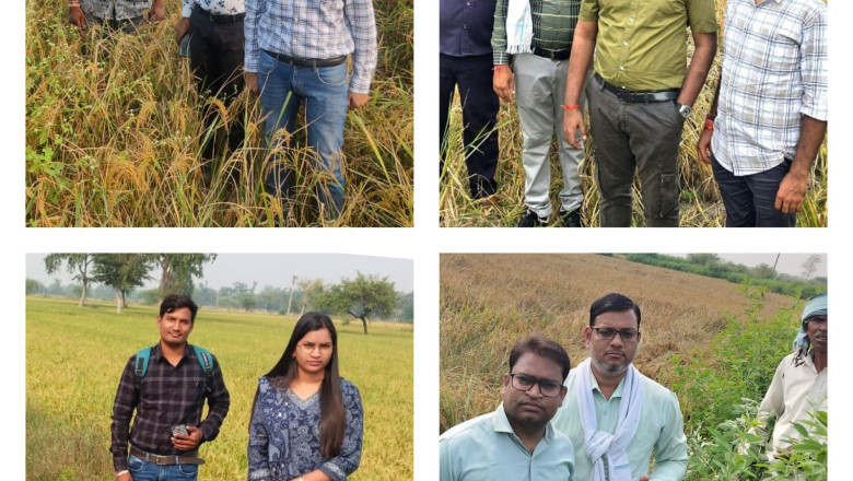 बेमेतरा जिले में अधिकारियों द्वारा गिरदावरी सत्यापन कार्य जारी...