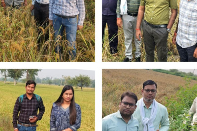 बेमेतरा जिले में अधिकारियों द्वारा गिरदावरी सत्यापन कार्य जारी...