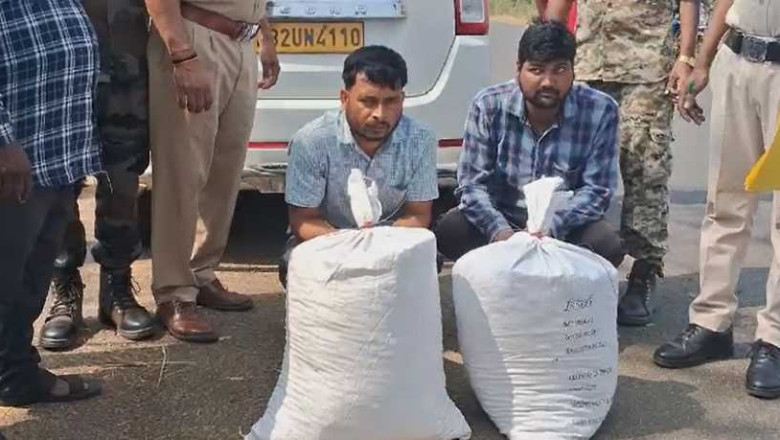 दो अंतराज्यीय तस्कर गिरफ्तार, ओडिसा का गांजा छत्तीसगढ़ के रास्ते ले जाया जा रहा था...