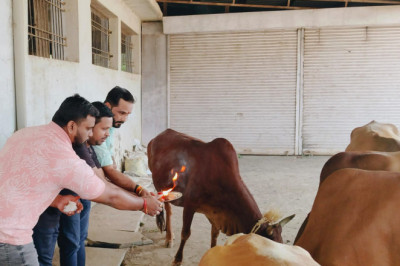 युवा जागृति मंच द्वारा मनाया गया गोपाष्टमी