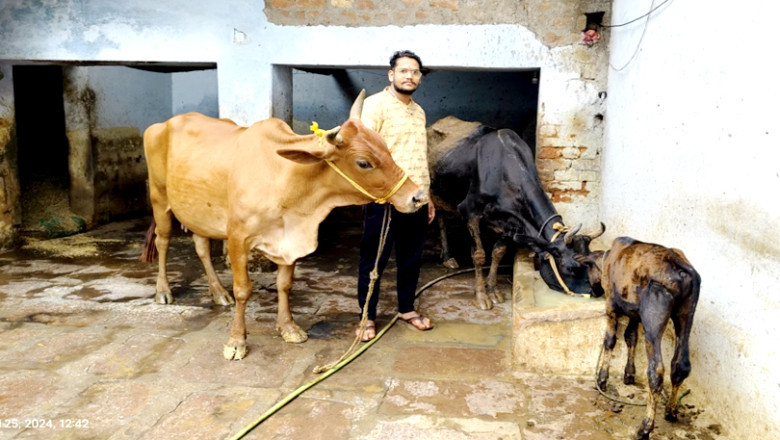 गौपालन से एक लाख 30 हजार रुपये की आय अर्जित की...