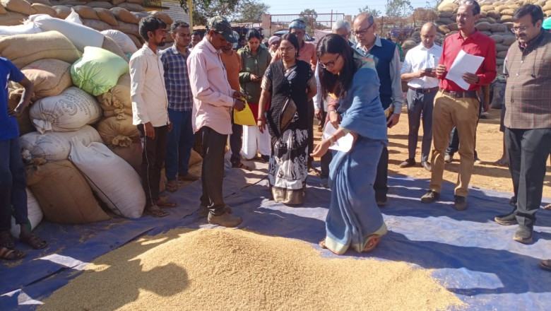 कलेक्टर ने धान संग्रहण केन्द्र अरसनारा का किया निरीक्षण...