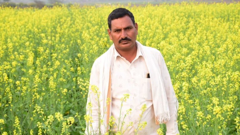 ग्राम जंगलेशर के उन्नतिशील किसानों ने 50 एकड़ में धान के बदले मक्का, 15 एकड़ में सरसों तथा 30 एकड़ में लगाई गेहूं की फसल...