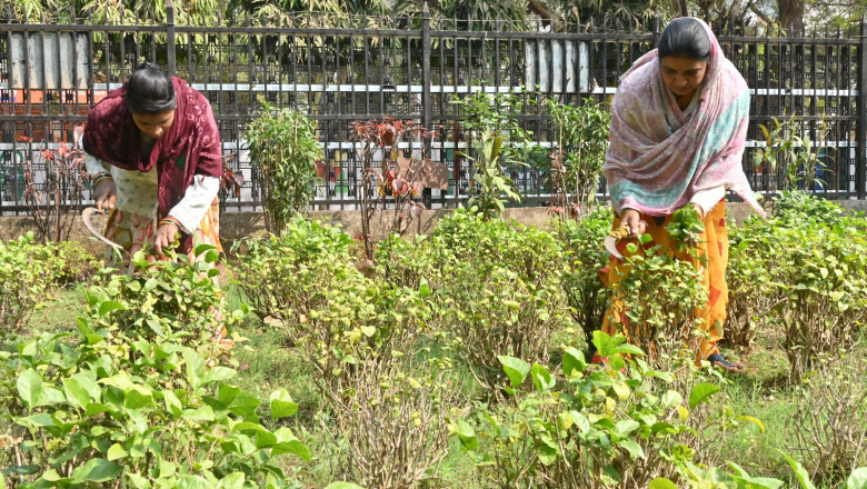 निगम भिलाई के 42 नियमित कर्मचारियो का उद्यान विभाग में डयूटी लगाई गई...