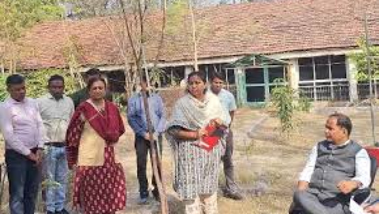 रोजगार कार्यालय में रायपुर कलेक्टर की दबिश, इन कर्मचारियों के वेतन काटने के निर्देश...