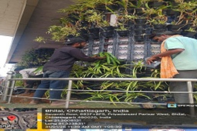 नेहरू नगर चैंक को वर्टिकल गार्डन का संधारण किया जा रहा है।