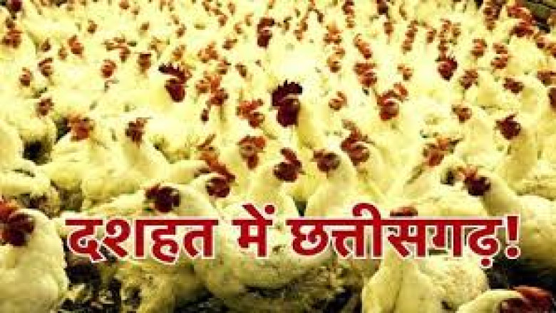 होटलों पर लगाया जुर्माना : बर्ड फ्लू नियंत्रण निर्देशों का उल्लंघन...