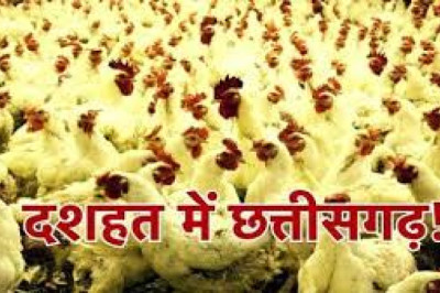होटलों पर लगाया जुर्माना : बर्ड फ्लू नियंत्रण निर्देशों का उल्लंघन...