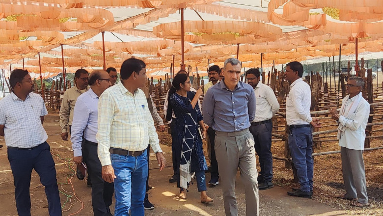 विधानसभा सत्र के दौरान अधिकारियों के अवकाश पर प्रतिबंध, कलेक्टर ने जारी किया आदेश...