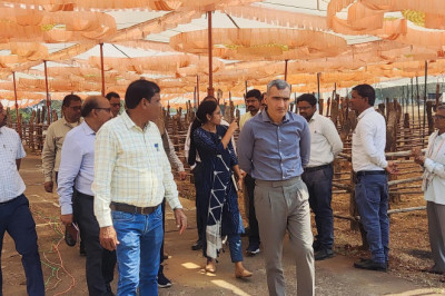विधानसभा सत्र के दौरान अधिकारियों के अवकाश पर प्रतिबंध, कलेक्टर ने जारी किया आदेश...