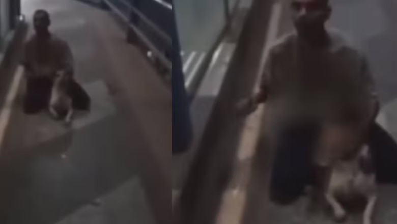 नौशाद ने कुत्ते से किया कुकर्म: राष्ट्रीय राजधानी में इंसानियत को शर्मसार करने वाला ममाला, ऐसे चढ़ा पुलिस के हत्थे- Dog Raped In Delhi