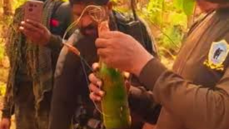 बीजापुर में DRG जवानों ने साजिश को किया नाकाम,बीयर बम' से जवानों को उड़ाना चाहते थे नक्सली...