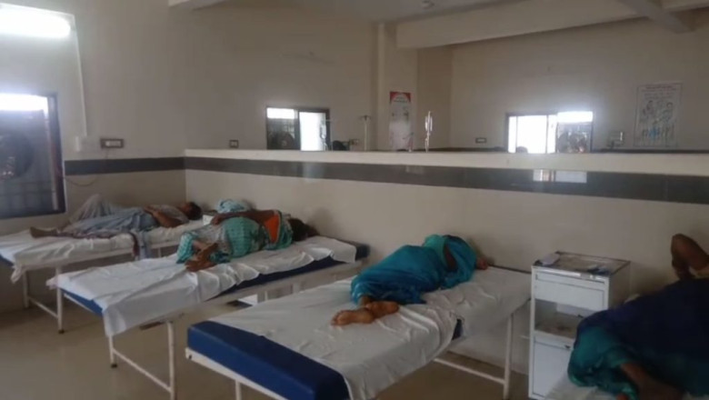 मधुमक्खियों ने किया हमला : मजदूरों पर आई मुसीबत...