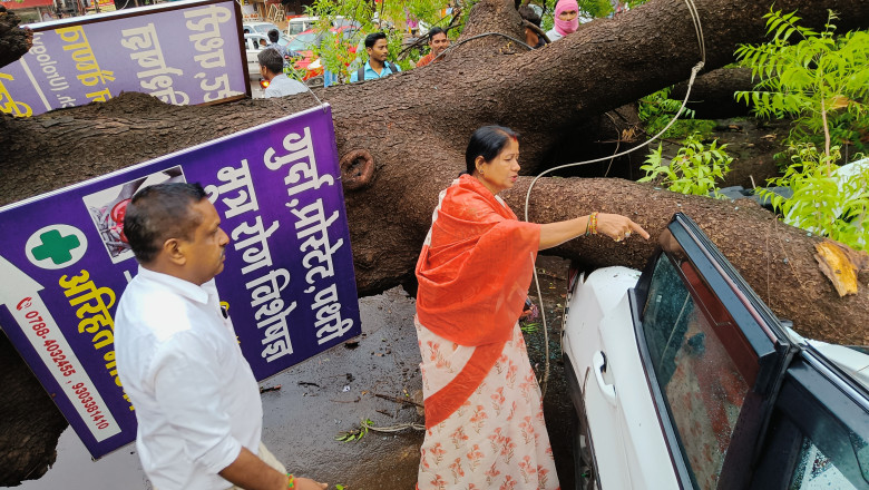 महापौर श्रीमती अलका बाघमार ने घटनास्थल का निरीक्षण किया और तत्काल पेड़ हटाने के निर्देश दिए,सड़क मार्ग हुआ क्लियर: