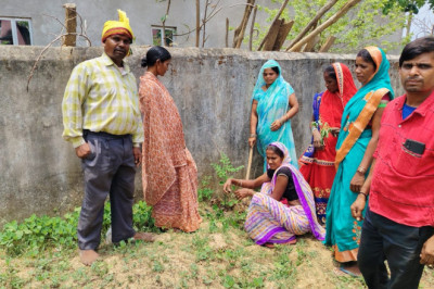 जिले की 185 ग्राम पंचायतों में एक साथ वृक्षारोपण, हरियाली का बना ऐतिहासिक अभियान