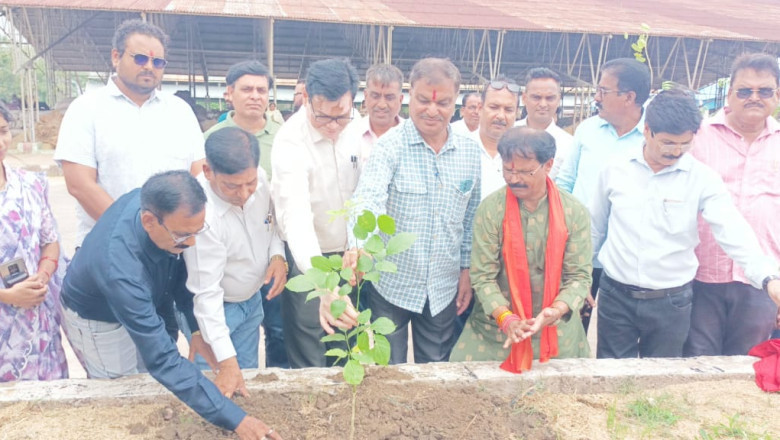 विज्ञान महाविद्यालय एवं कृषि उपज मण्डी में आयोजित वृक्षारोपण कार्यक्रम में वृक्षो की रक्षा करने संकल्प लेने महापौर ने की अपील