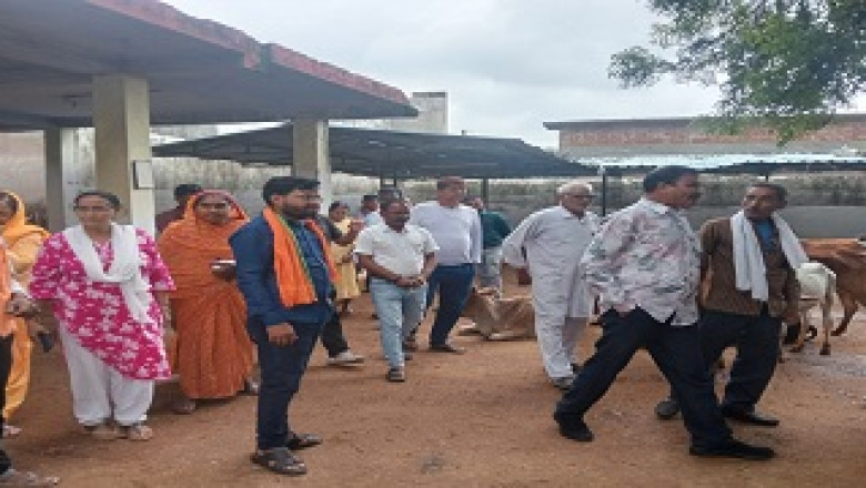 कांजी हाउस में व्यवस्था दुरूस्त करने एवं स्वीकृत निर्माण कार्य प्रारंभ कराने के दिये निर्देश...