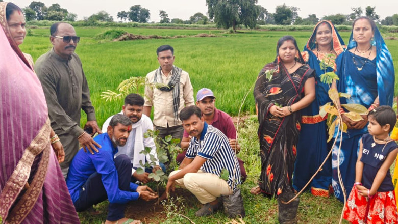 जंजगीरी गाँव में 71 पौधों का रोपण | पर्यावरण संरक्षण की पहल...