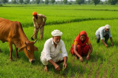 किसानों के खातों में नहीं पहुंची भूमि क्षतिपूर्ति की राशि, आंदोलन की दी चेतावनी...