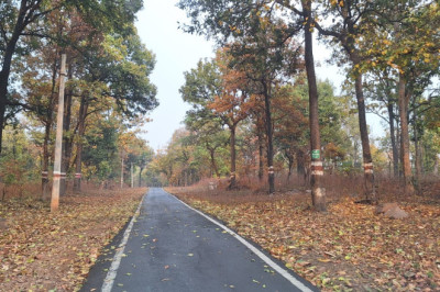 कोरबा की सड़क यात्रा गांवों को जोड़ा विकास से, सड़कों ने लिखी प्रगति की नई गाथा...