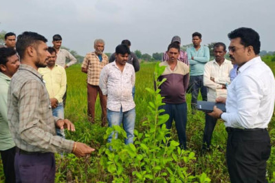किसानों को अधिक वर्षा से प्रभावित फसल की क्षतिपूर्ति के लिए मिलेगी राहत...