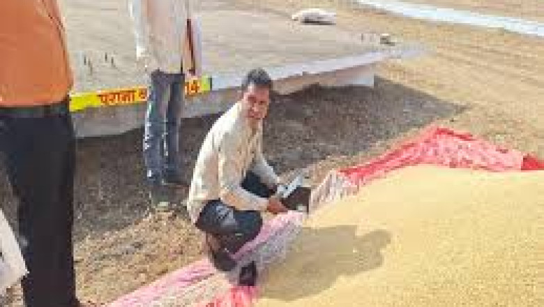 रायपुर में तौल पूजा से शुभारंभ : धान खरीदी शुरू , आज का टोकन शाम 5 बजे तक मिलेगा...