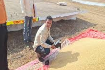 रायपुर में तौल पूजा से शुभारंभ : धान खरीदी शुरू , आज का टोकन शाम 5 बजे तक मिलेगा...