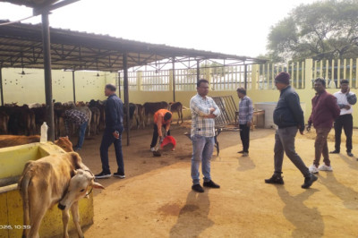 महापौर आज सुबह वार्ड निरीक्षण के लिए पहुॅचे ग्रामीण वार्ड रेवाडीह...