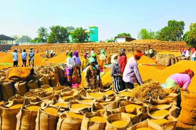 पात्र किसानों के धान खरीदी हेतु 05 फरवरी तक जारी किया जाएगा टोकन...
