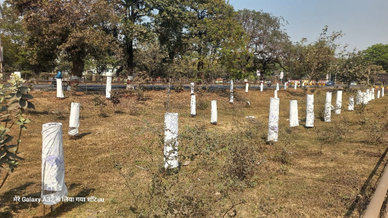 भारत के पहले ‘सिंदूर गार्डन’ को मिला नया जीवन,पर्यावरण प्रेमी बालू राम वर्मा बने मिसाल...