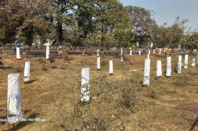 भारत के पहले ‘सिंदूर गार्डन’ को मिला नया जीवन,पर्यावरण प्रेमी बालू राम वर्मा बने मिसाल...