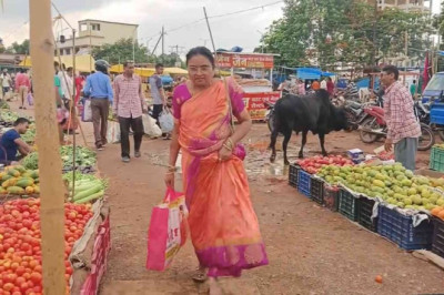 सुपेला थाना के पीछे स्थापित होगी थोक सब्जी मंडी, आकाशगंगा थोक सब्जी मंडी में खत्म होगी भीड़ की समस्या…