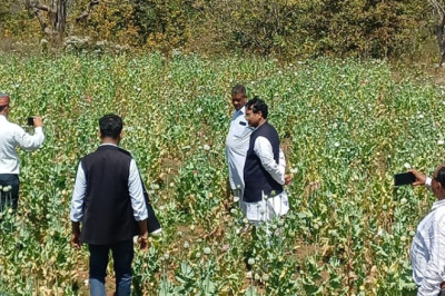 झारखंड से छत्तीसगढ़ तक फैला अफीम नेटवर्क: कार्रवाई तेज होते ही सरहदी गांव बने तस्करों का ठिकाना