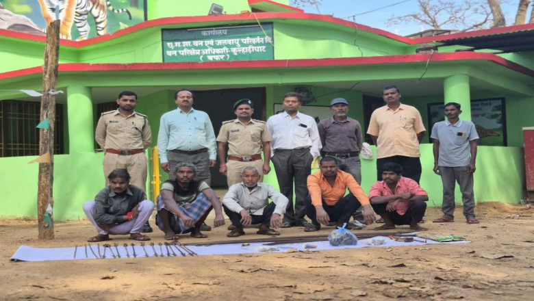 CG में वन्यजीव तस्करी का खुलासा, दीवार से मिला हाथी दांत