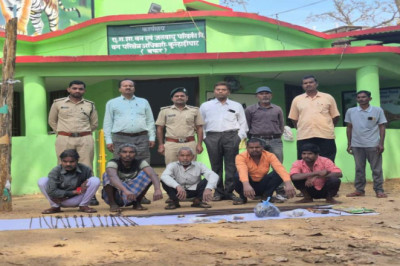 CG में वन्यजीव तस्करी का खुलासा, दीवार से मिला हाथी दांत